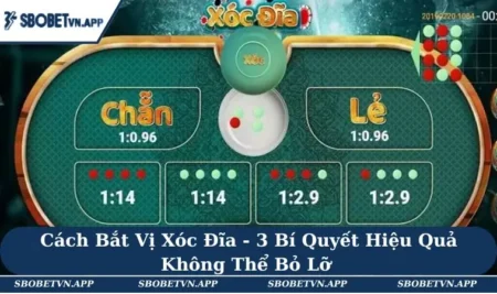 Cách Bắt Vị Xóc Đĩa - 3 Bí Quyết Hiệu Quả Không Thể Bỏ Lỡ 5 Cách Bắt Vị Xóc Đĩa - 3 Bí Quyết Hiệu Quả Không Thể Bỏ Lỡ