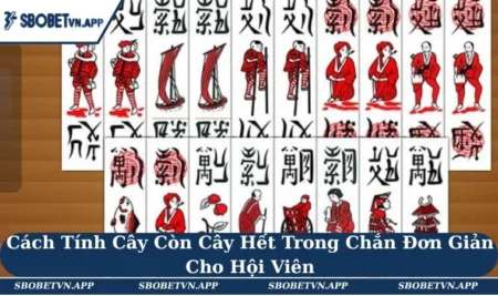 Cách Tính Cây Còn Cây Hết Trong Chắn Đơn Giản Cho Hội Viên 2 Cách Tính Cây Còn Cây Hết Trong Chắn Đơn Giản Cho Hội Viên