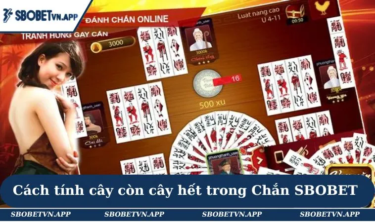 Cách Tính Cây Còn Cây Hết Trong Chắn Đơn Giản Cho Hội Viên 2 Cách tính cây còn cây hết trong Chắn SBOBET