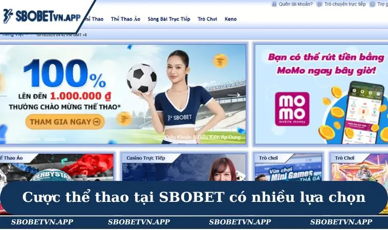 Cược thể thao tại SBOBET có nhiều lựa chọn