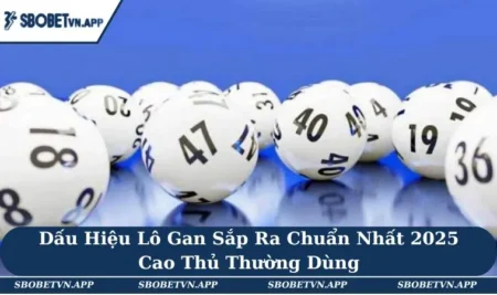 Dấu Hiệu Lô Gan Sắp Ra Chuẩn Nhất 2025 Cao Thủ Thường Dùng 7 Dấu Hiệu Lô Gan Sắp Ra Chuẩn Nhất 2025 Cao Thủ Thường Dùng