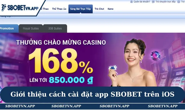 Giới thiệu cách cài đặt app SBOBET trên iOS