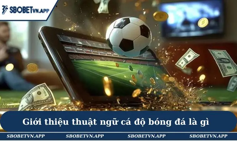 Thuật Ngữ Cá Độ Bóng Đá - 20+ Từ Ngữ Phổ Biến Cho Newbie 1 Giới thiệu thuật ngữ cá độ bóng đá là gì