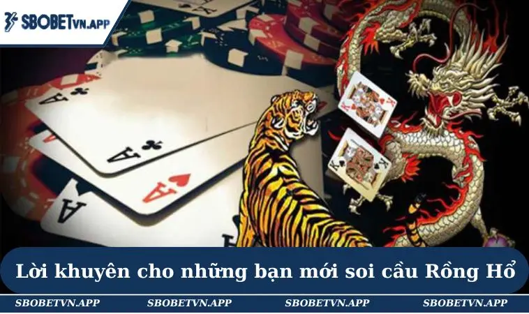 Cách Soi Cầu Rồng Hổ Từ A Đến Z - Chiến Thuật Và Mẹo Hay 3 Lời khuyên cho những bạn mới soi cầu Rồng Hổ