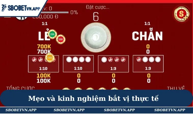 Cách Bắt Vị Xóc Đĩa - 3 Bí Quyết Hiệu Quả Không Thể Bỏ Lỡ 3 Mẹo và kinh nghiệm bắt vị thực tế