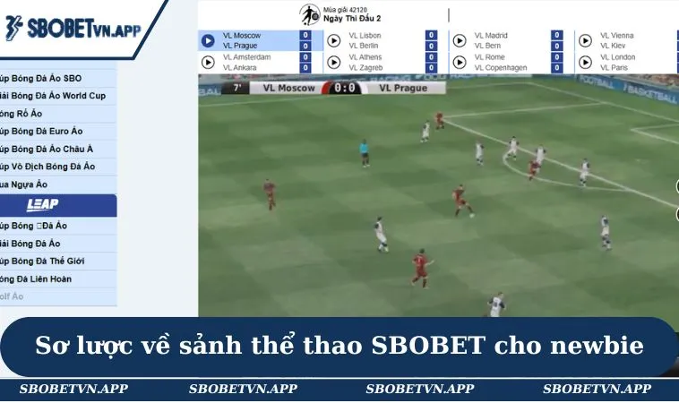 Sơ lược về sảnh thể thao SBOBET cho newbie
