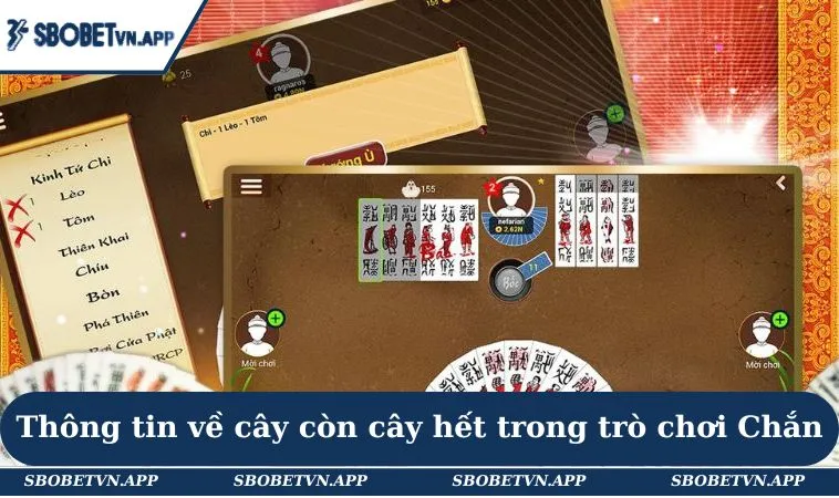 Cách Tính Cây Còn Cây Hết Trong Chắn Đơn Giản Cho Hội Viên 1 Thông tin về cây còn cây hết trong trò chơi Chắn