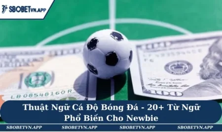 Thuật Ngữ Cá Độ Bóng Đá - 20+ Từ Ngữ Phổ Biến Cho Newbie 9 Thuật Ngữ Cá Độ Bóng Đá - 20+ Từ Ngữ Phổ Biến Cho Newbie