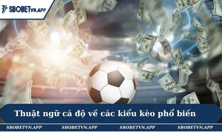 Thuật Ngữ Cá Độ Bóng Đá - 20+ Từ Ngữ Phổ Biến Cho Newbie 2 Thuật ngữ cá độ về các kiểu kèo phổ biến