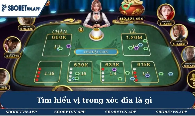 Cách Bắt Vị Xóc Đĩa - 3 Bí Quyết Hiệu Quả Không Thể Bỏ Lỡ 1 Tìm hiểu vị trong xóc đĩa là gì