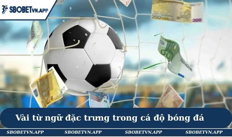 Thuật Ngữ Cá Độ Bóng Đá - 20+ Từ Ngữ Phổ Biến Cho Newbie 3 Vài từ ngữ đặc trưng trong cá độ bóng đá